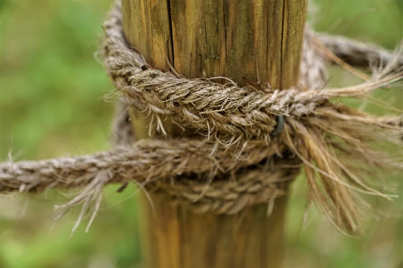 Technique n°2 : le broken link building ciblé
